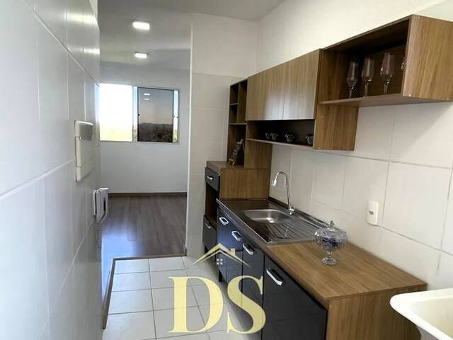 Apartamento para Venda em Novo Hamburgo - 5